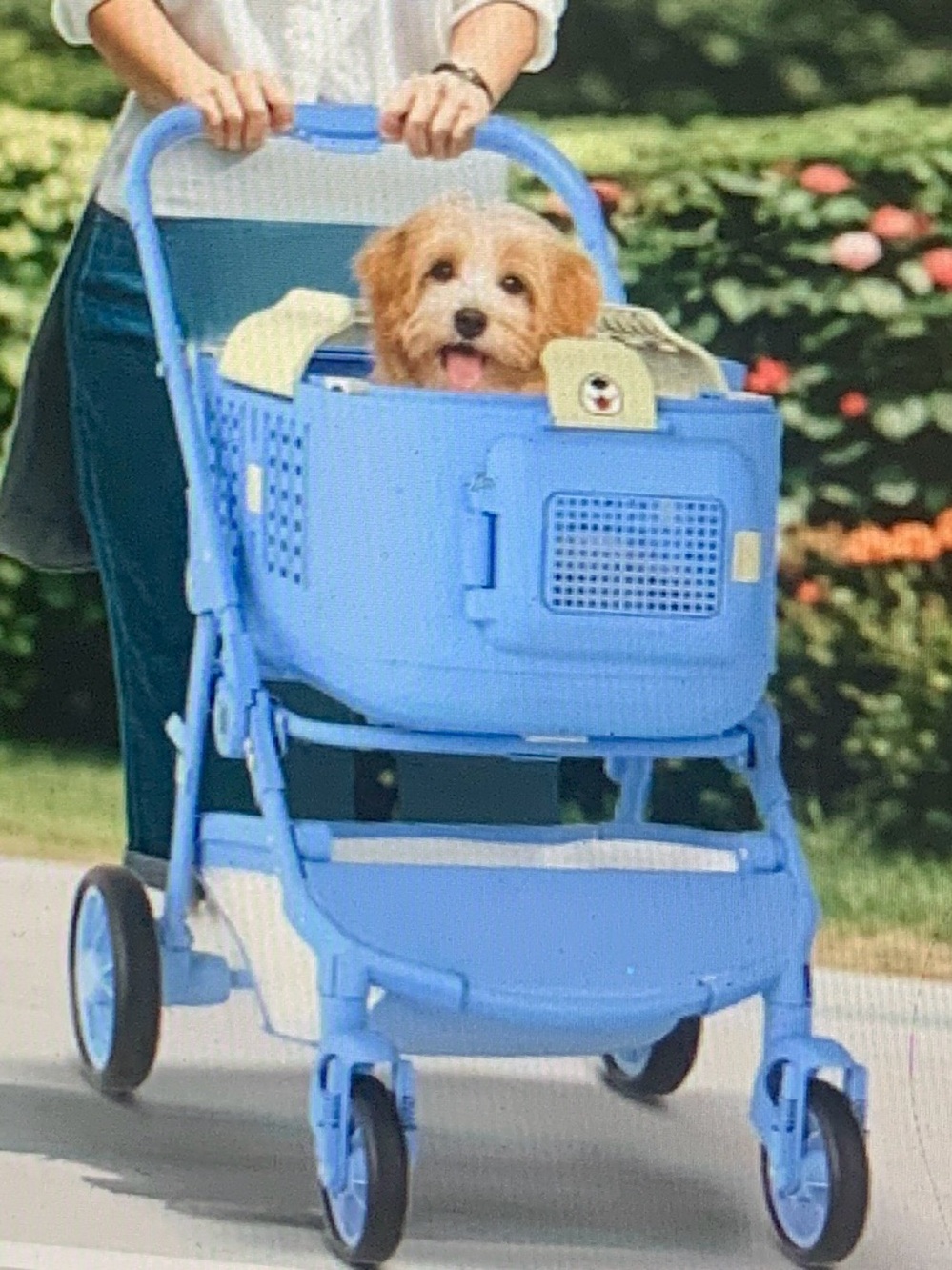 Blue Small Pet Stroller Carrier - Comfortable Ride for pets less 40 lb